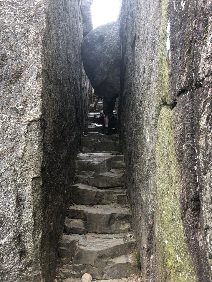 Going under a rock 4